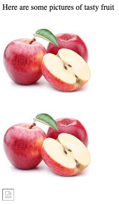 Mystery Fruit